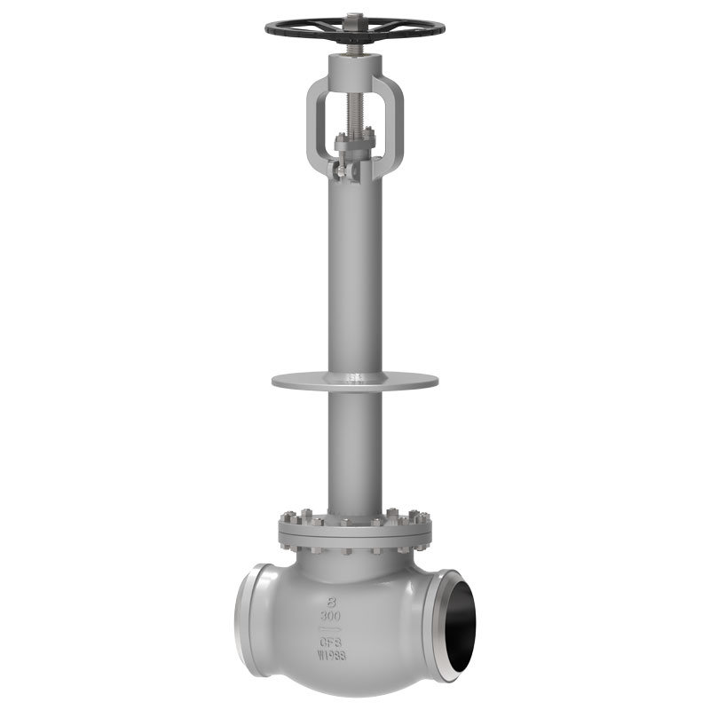 Cryogenic Globe Valve