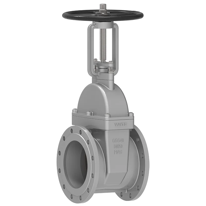 Rising Stem Resilient Seated Gate Valve